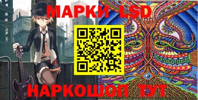 крисы Гагарин