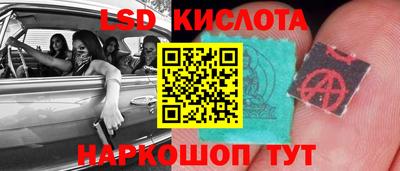 крисы Гагарин