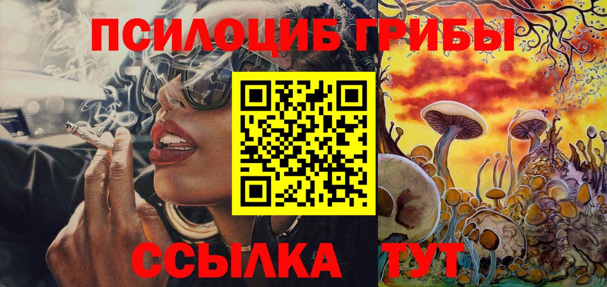 Карталы  Псилоцибиновые грибы Psilocybe  Вход с VPN 